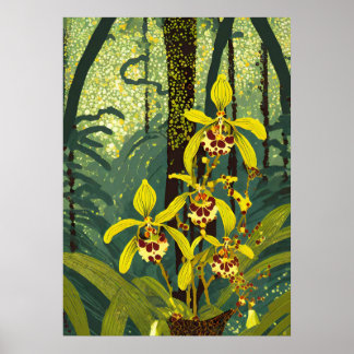 Arte de Orquídea V40