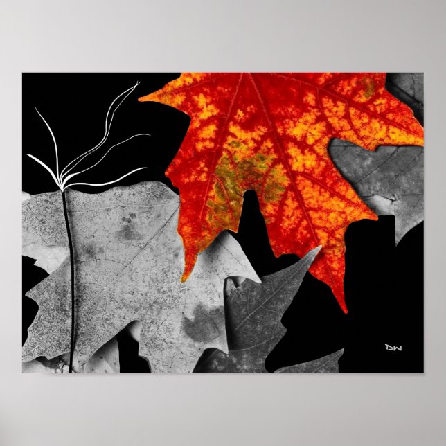 Arte de Otoño (Frente)