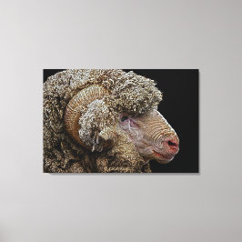 Arte de ovejas merino