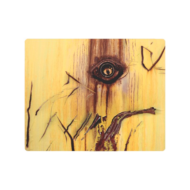 Arte de óxido - Único diversión de Guay (Anverso)