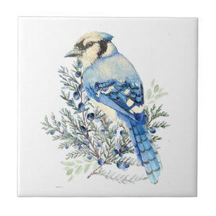 Arte de país de pájaros azulejos azul aguamarina