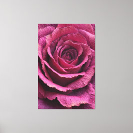 Arte de pared abstracto de textura de rosa rosa de