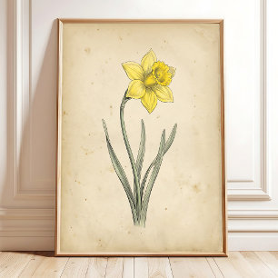 Arte de Pared Antiguo Botánico Narciso
