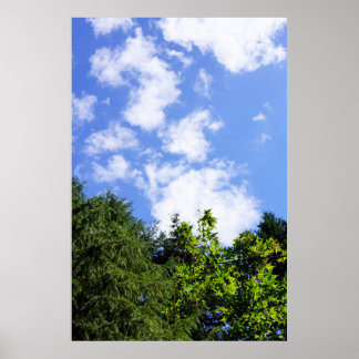 Arte de pared Árboles de arce Cielo azul Nubes bla