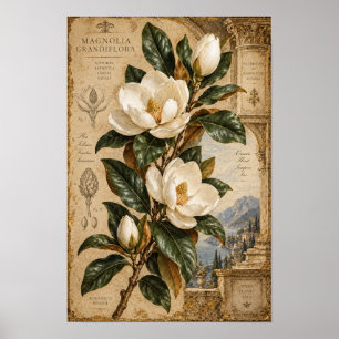 Arte de pared botánico de magnolia blanca vintage