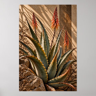 Arte de pared botánico del desierto de flores de a