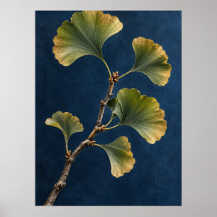 Arte de pared botánico elegante de Ginkgo Biloba v