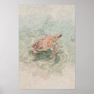 Arte de pared costero de tortuga marina con coral 