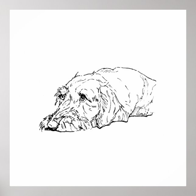 Arte de Pared, Dachshund de Pelo Duro - Lindo (Frente)