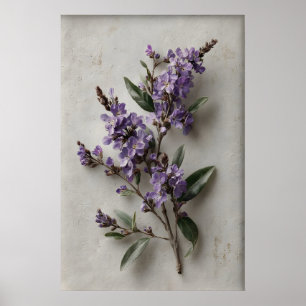 Arte de pared Dampiera imprimible, flor antigua pr