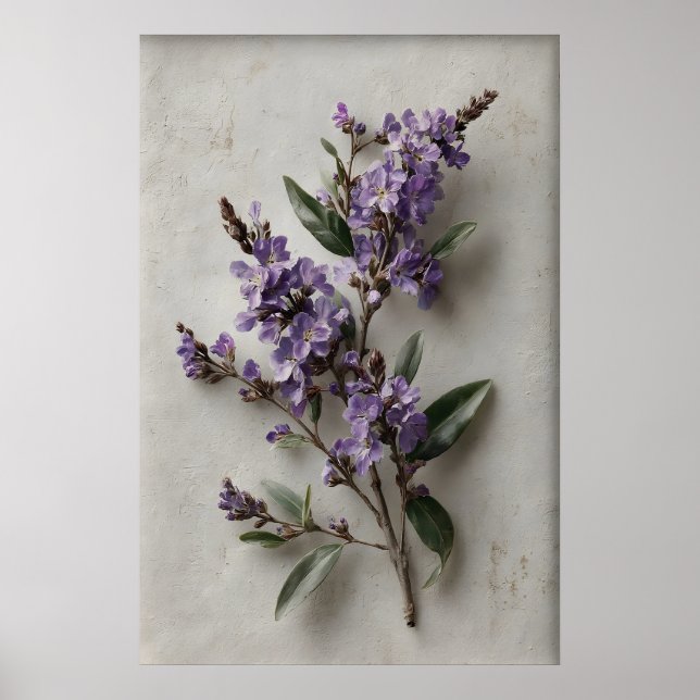 Arte de pared Dampiera imprimible, flor antigua pr (Frente)