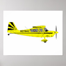 Arte de pared de avión de la Super Decathlon amari