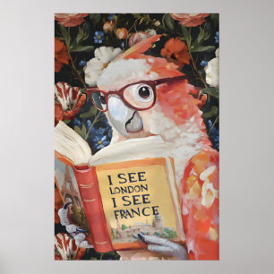 Arte de pared de baño de loro peculiar 'Veo