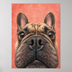 Arte de Pared de Bulldog Francés — Primer Plano Di