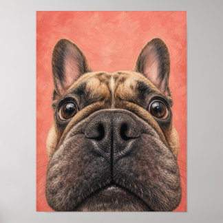 Arte de Pared de Bulldog Francés — Primer Plano Di
