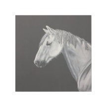 Arte de pared de caballo blanco