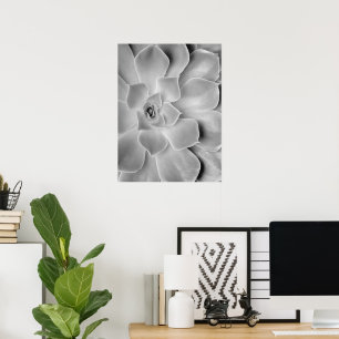 Arte de pared de cactus en blanco y negro imprimib