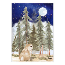 Arte de pared de conejito Póster  Noche estrellada