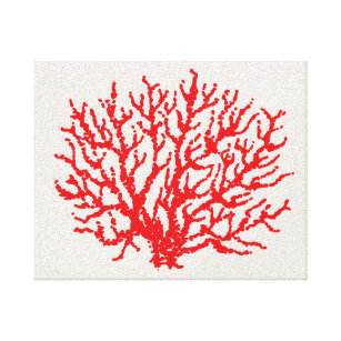 Arte de pared de coral del Mar Rojo