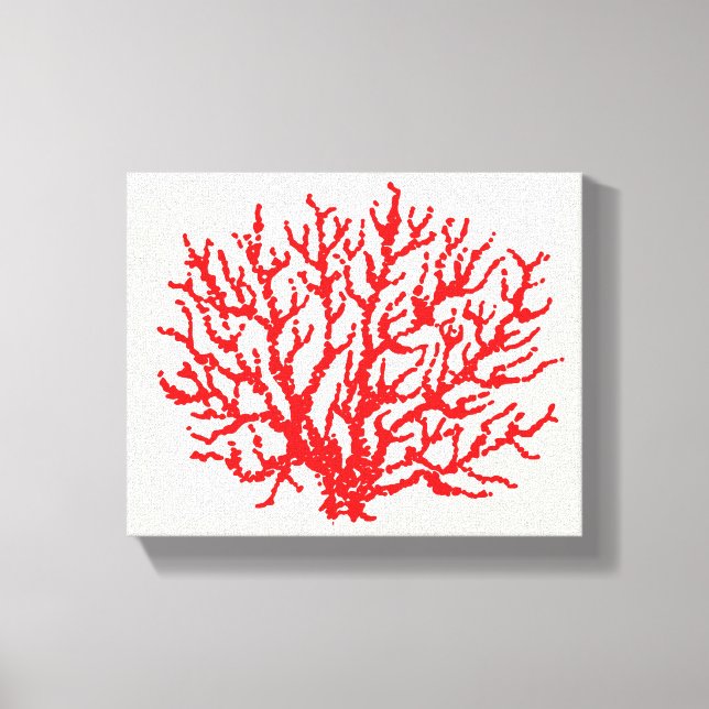 Arte de pared de coral del Mar Rojo (Anverso)