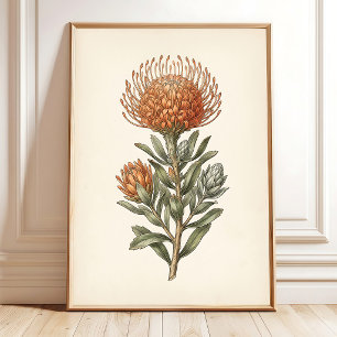 Arte de pared de cottage botánico Leucospermum