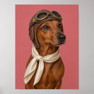 Arte de pared de Dachshund — Mascota piloto aviado