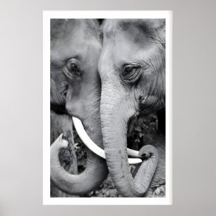 Arte de pared de elefante Impresión en negro y bla