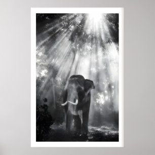 Arte de pared de elefante monocromo, foto de natur