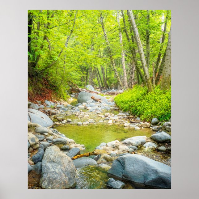 Arte de pared de Forest Creek | Arroyo del bosque  (Frente)