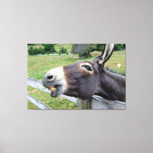 Arte de pared de fotografía de animal de burro son
