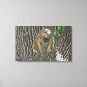 Arte de pared de fotografía de ardilla perezosa di