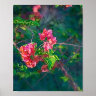 Arte de pared de fotografía de flor de buganvilla