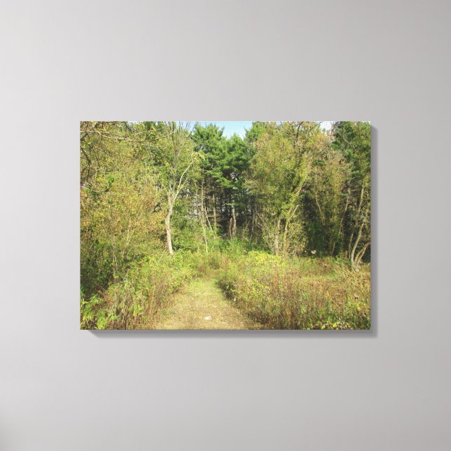 Arte de pared de fotografía de naturaleza de bosqu (Anverso)