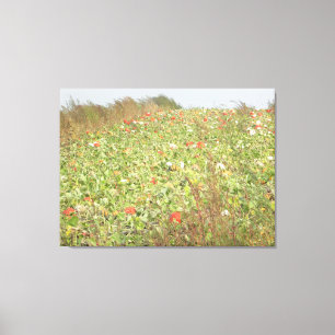 Arte de pared de fotografía de parcela de calabaza