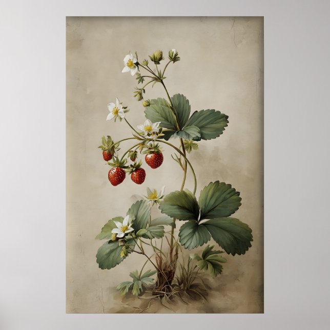 Arte de pared de fresa para imprimir, antiguo (Frente)