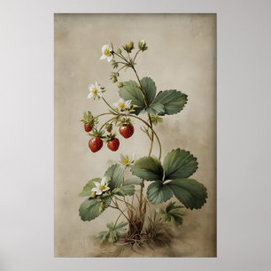 Arte de pared de fresa y bayas impreso, antiguo