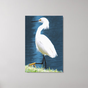 Arte de pared de garza minimalista costera natural