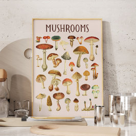 Arte de pared de gráfico de hongos vintage