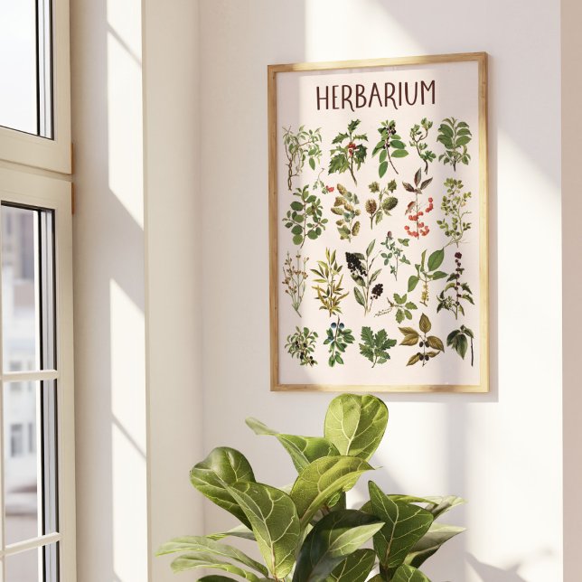 Arte de pared de gráfico de planta verde de herbar (In situ under sunlight)