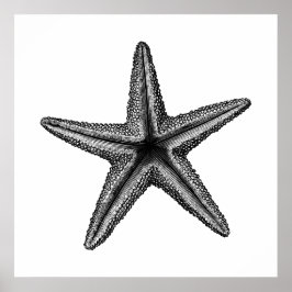 Arte de pared de Ilustracion Starfish Black Vintag