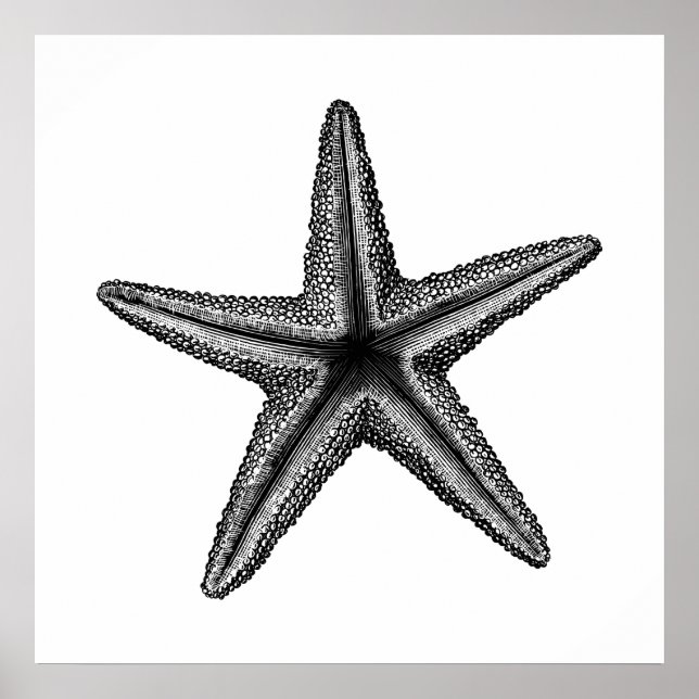 Arte de pared de Ilustracion Starfish Black Vintag (Frente)