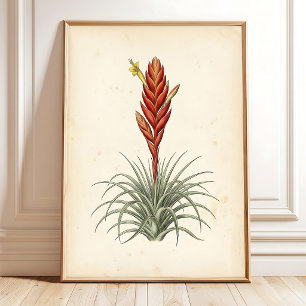 Arte de pared de impresión botánica de Vriesea