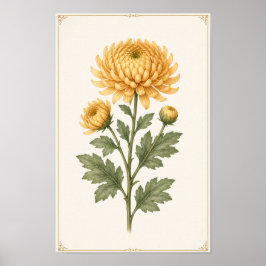 Arte de pared de la flor de nacimiento de noviembr