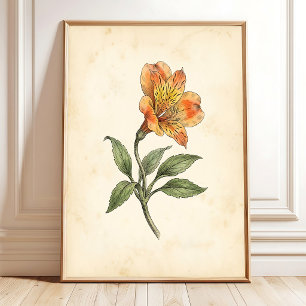 Arte de pared de lienzo botánico de Alstroemeria
