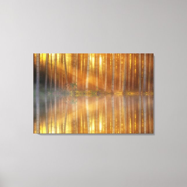 Arte de pared de lienzo de bosque de abedules (Anverso)