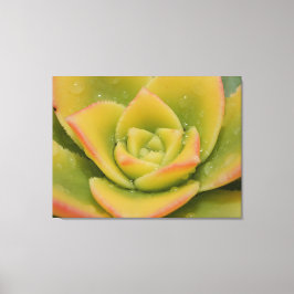 Arte de pared de lona de macro suculenta esmeralda