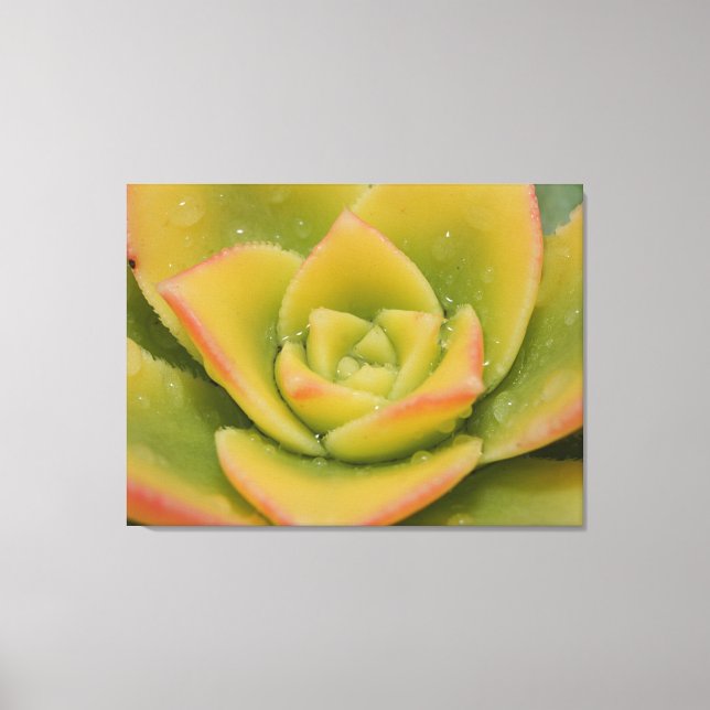 Arte de pared de lona de macro suculenta esmeralda (Anverso)
