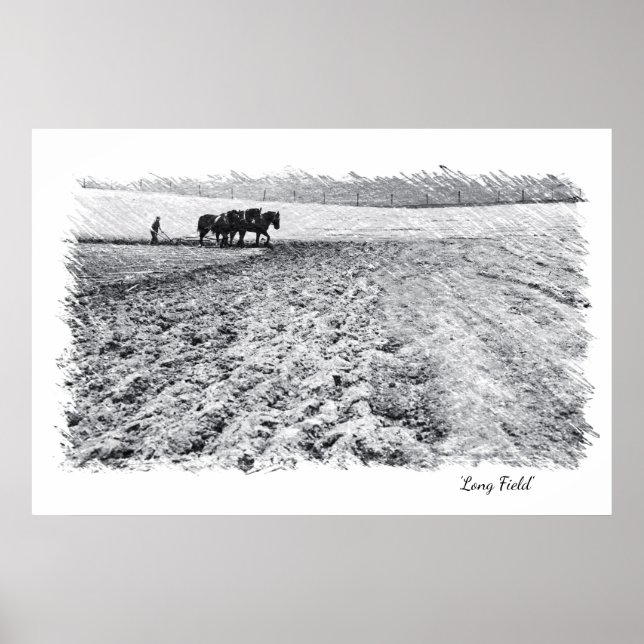 Arte de pared de Long Field (Frente)