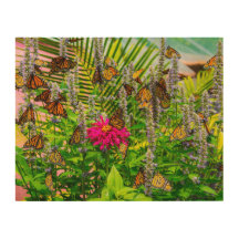 Arte de pared de madera Mariposas Monarca 14 x 11