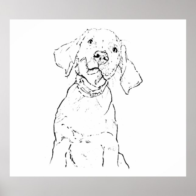 Arte de Pared de Perro Labrador Retriever, Dibujo  (Frente)